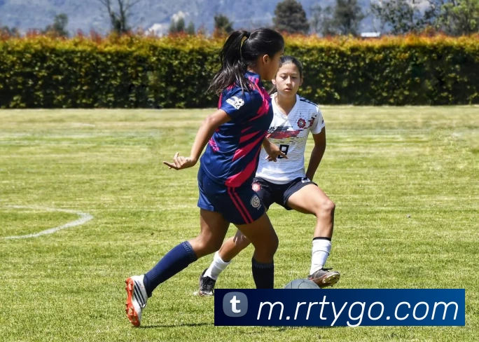 人人体育平台生态图