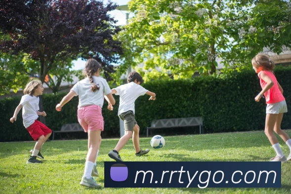 人人体育APP 封面图